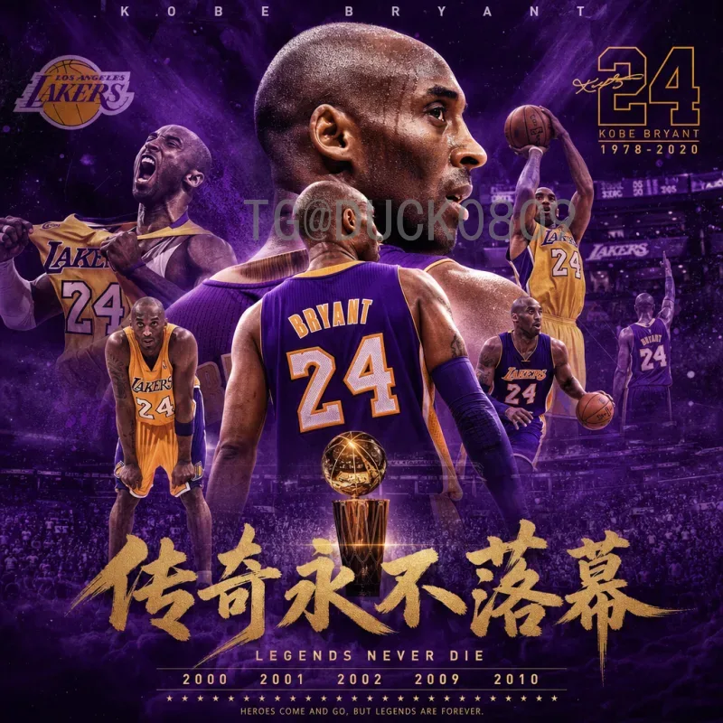 2026美加墨世界杯数据统计查询指南：完整赛事数据一网打尽